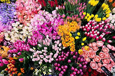 分析师认为次世代市场索尼和微软无法同时获得成功