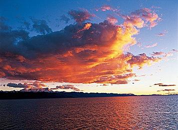 《神力科莎EVO》获得一定关注度 但开局仍显坎坷