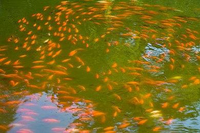 《龙腾世纪4》有望在EA Play Live上进行展示